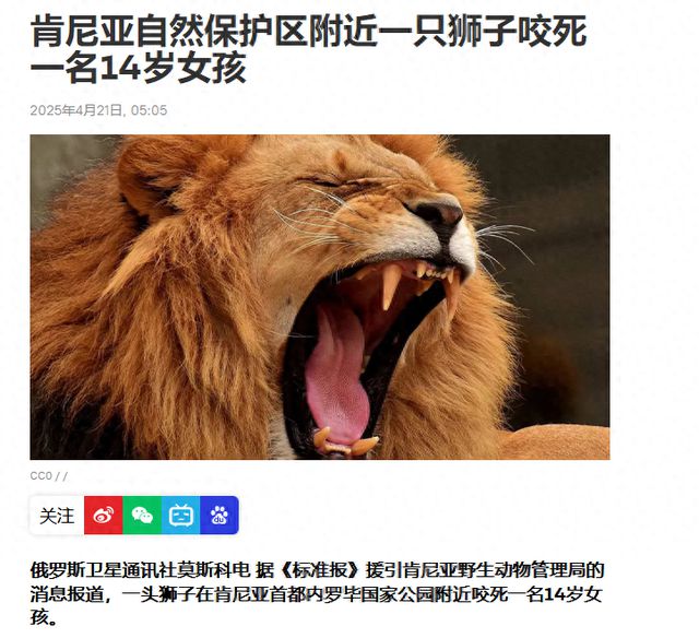 肯尼亚少女命丧狮口，人兽冲突背后的深层隐忧