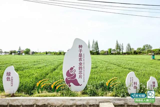 “智见未来，镇有引力”网络名人走进镇江，见证镇江智造硬核力量