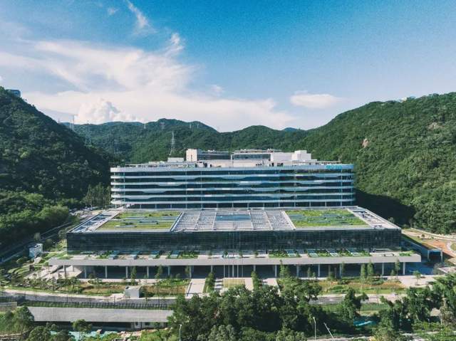 华大基因2024年实现营收38.67亿元，全面打造生命健康新范式