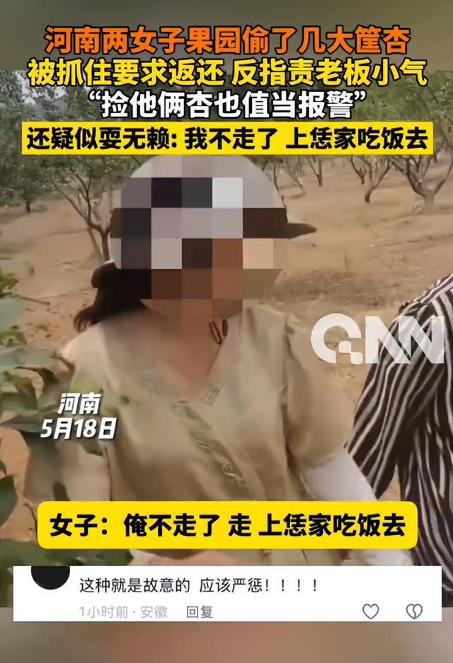 两女子偷杏被抓后态度嚣张责备老板小气，占便宜成了“本事”？