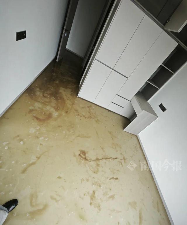 婚房被粪水浸泡漫过脚踝 业主崩溃:原定5月底乔迁
