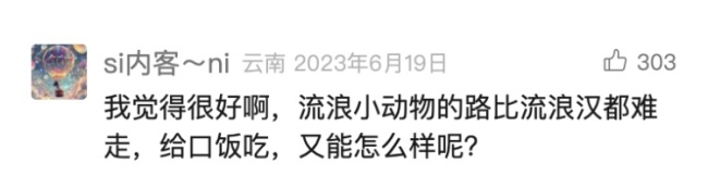 上海“街猫”智能猫屋引发争议 科学管理待探讨