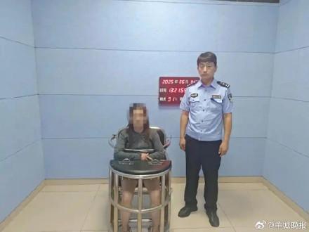 网民编造果树下发现尸体谣言被罚 虚假信息发布者受行政处罚