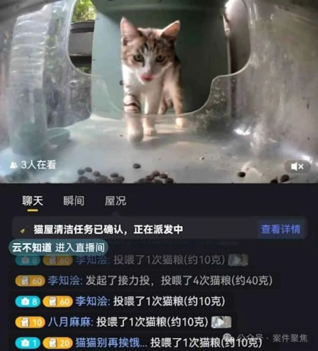 上海“街猫”智能猫屋引发争议 科学管理待探讨