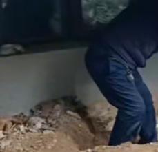 女子买新房挖出尸骨腿都软了