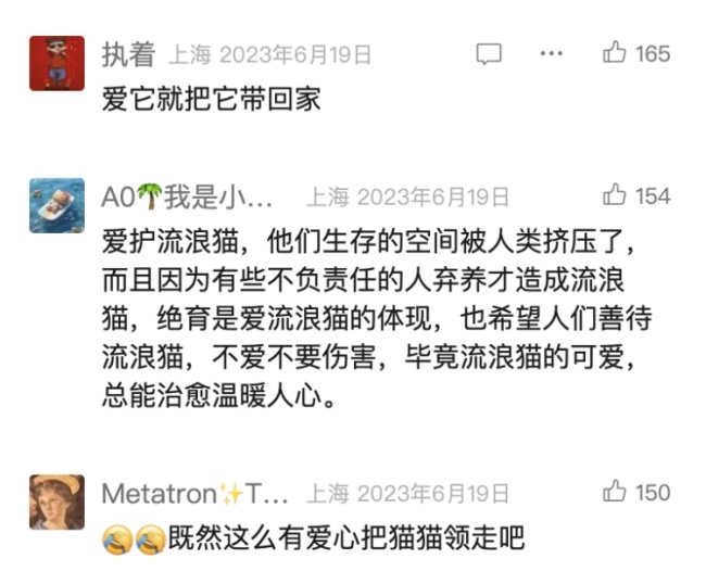 上海“街猫”智能猫屋引发争议 科学管理待探讨