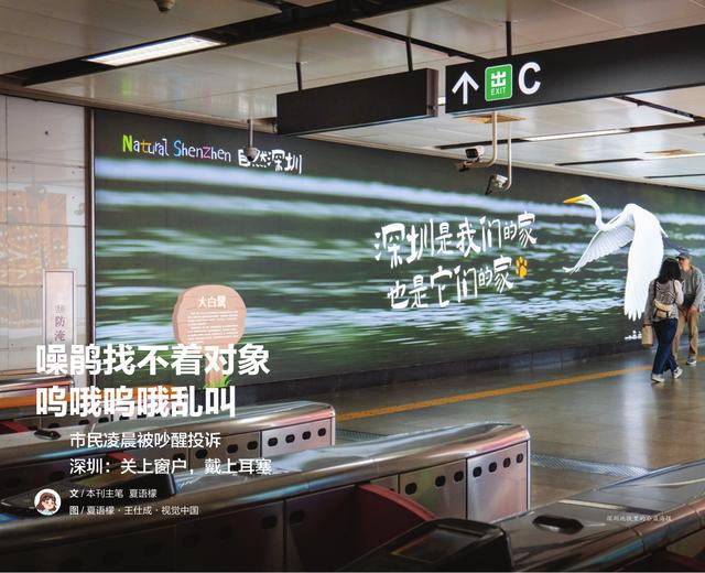 深圳那么多好玩的，为什么我们要给孩子讲噪鹃？