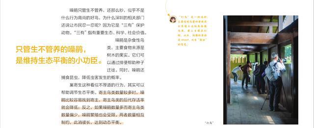 深圳那么多好玩的，为什么我们要给孩子讲噪鹃？