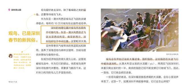 深圳那么多好玩的，为什么我们要给孩子讲噪鹃？