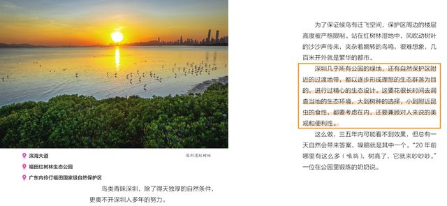 深圳那么多好玩的，为什么我们要给孩子讲噪鹃？