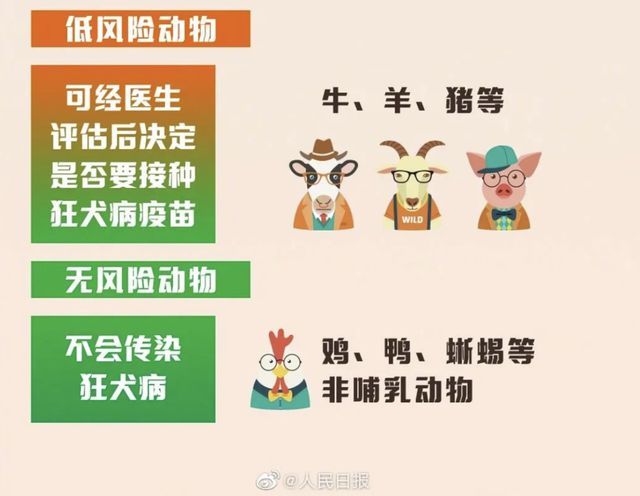 咬伤后未就医，3个月后病发！这种病致死率近100%
