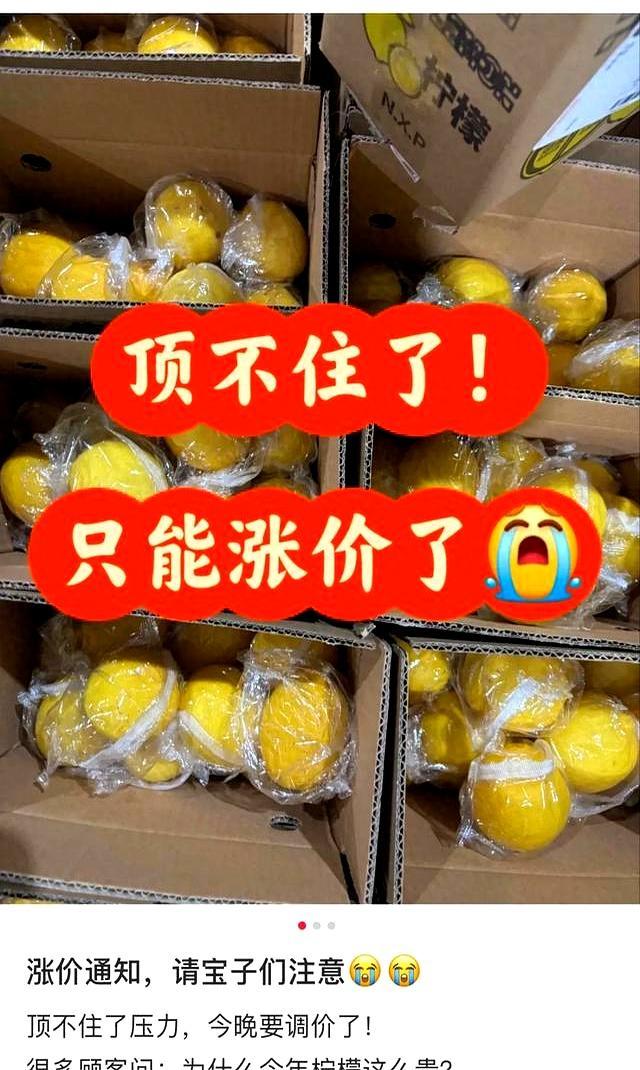 又贵又难抢 今年的柠檬快吃不起了