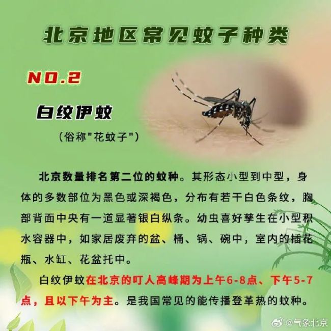 北京蚊密度同比下降一成，夏季防蚊指南蚊子少了？监测显示，北京蚊密度同比下降一成多