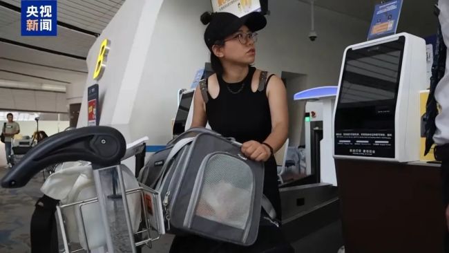 标题：**带宠物出行全攻略：实用技巧与注意事项**带着宠物去旅游！出行攻略来了