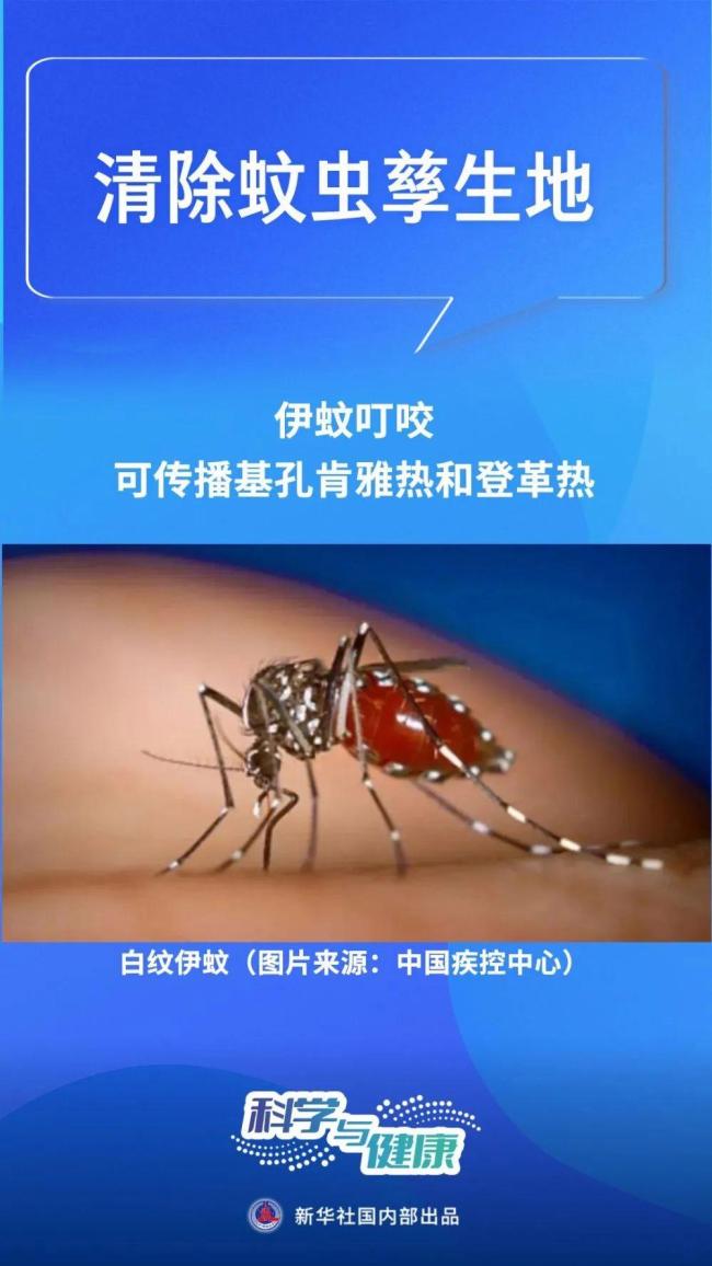 如何应对基孔肯雅热 专家解读与防控建议