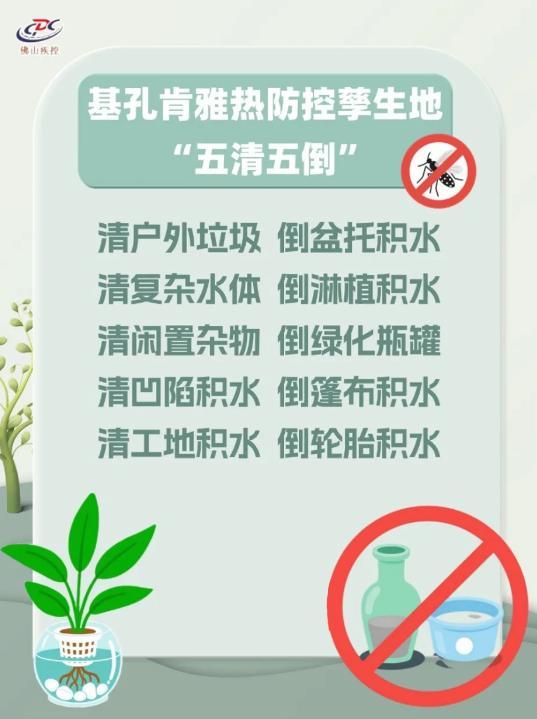 如何应对基孔肯雅热