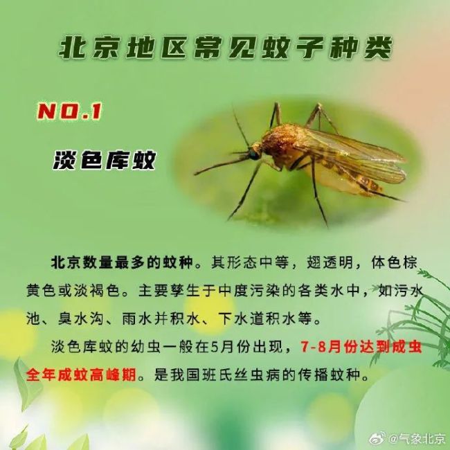 北京蚊密度同比下降一成，夏季防蚊指南蚊子少了？监测显示，北京蚊密度同比下降一成多